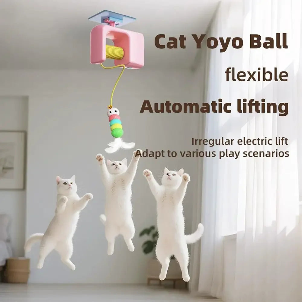 Interactive Cat Toy