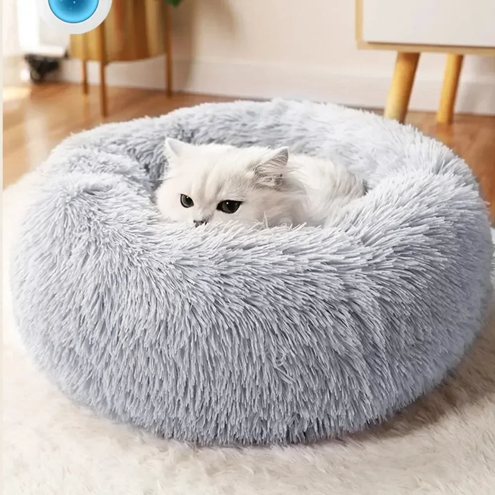 Super Soft  Cat & Dog Bed