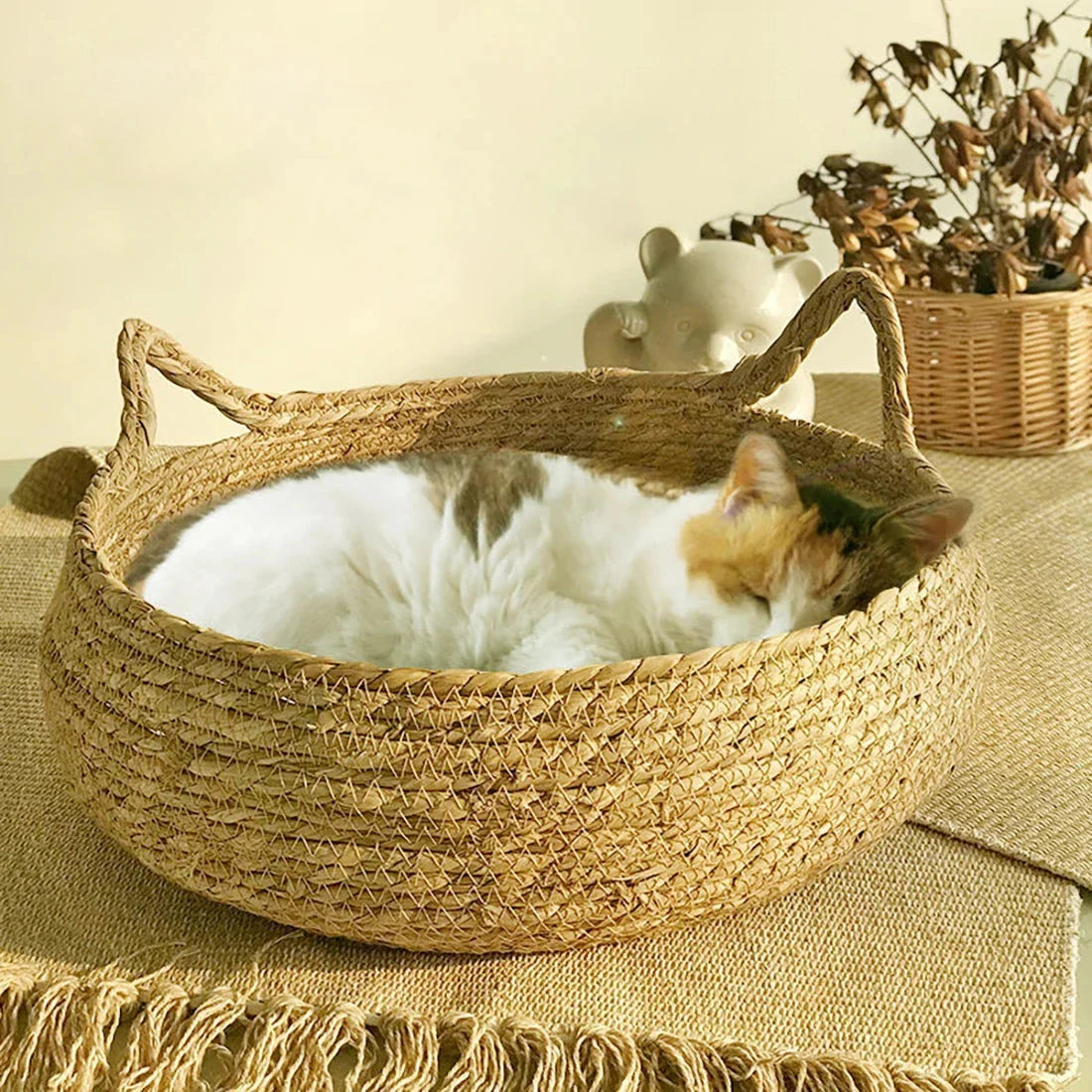Washable Rattan Cat Bed with Scratcher & Cushion