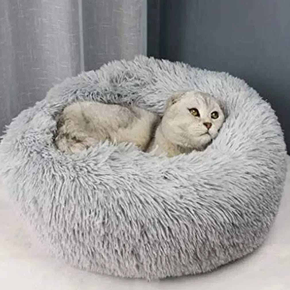 Super Soft  Cat & Dog Bed