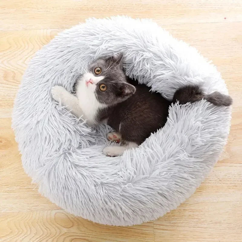 Super Soft  Cat & Dog Bed
